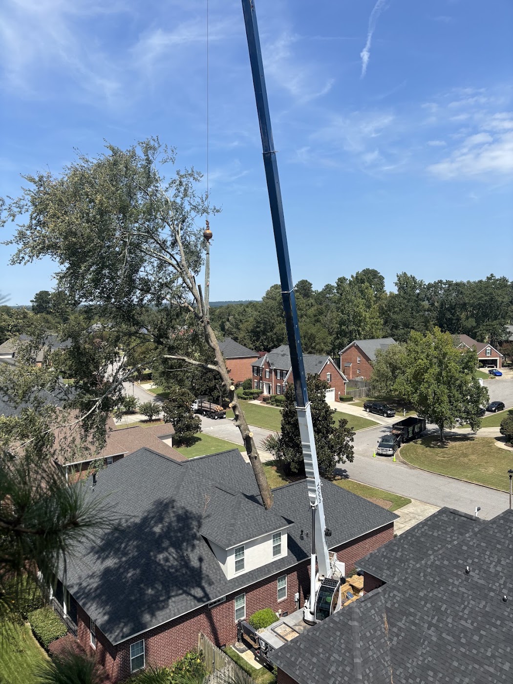 tree surgery work by 706 Tree and Stump in 