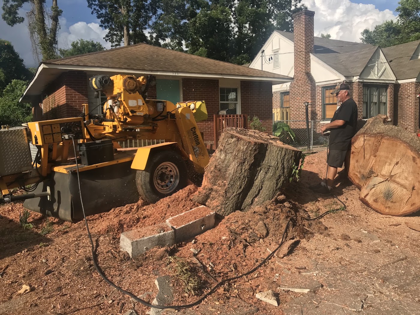 tree surgery work by 706 Tree and Stump in 