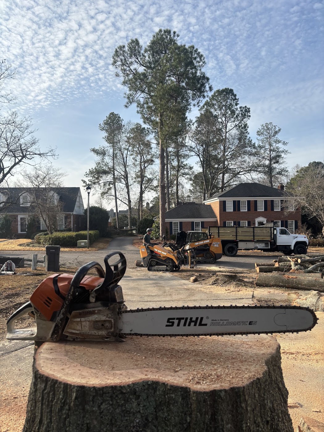 706 Tree and Stump work in 