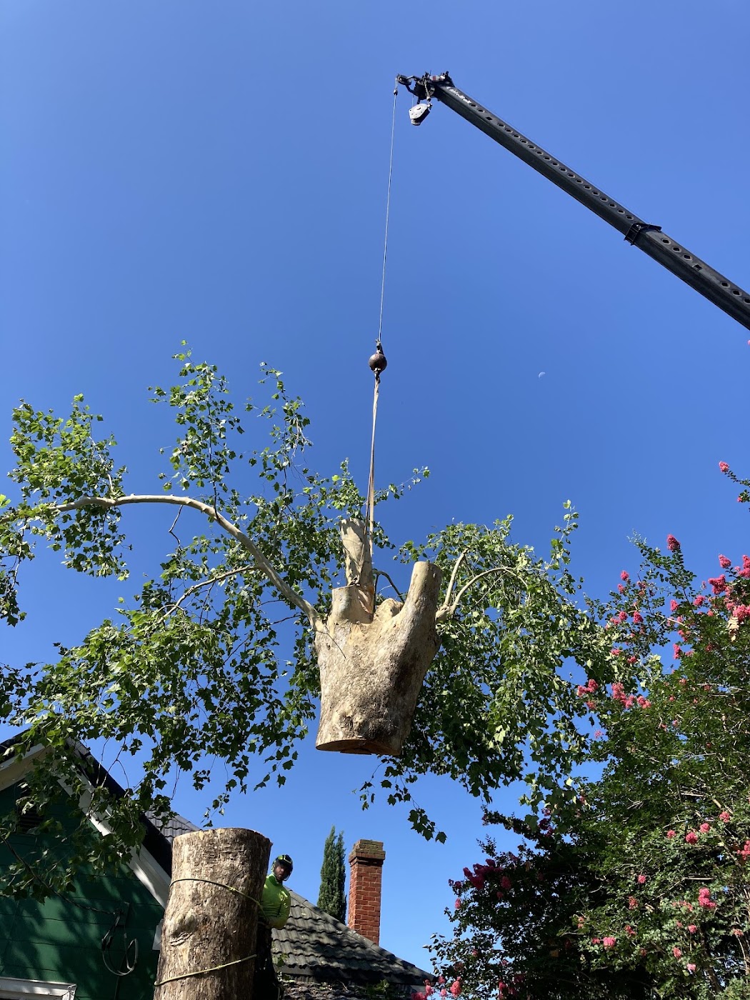 tree surgery work by 706 Tree and Stump in 