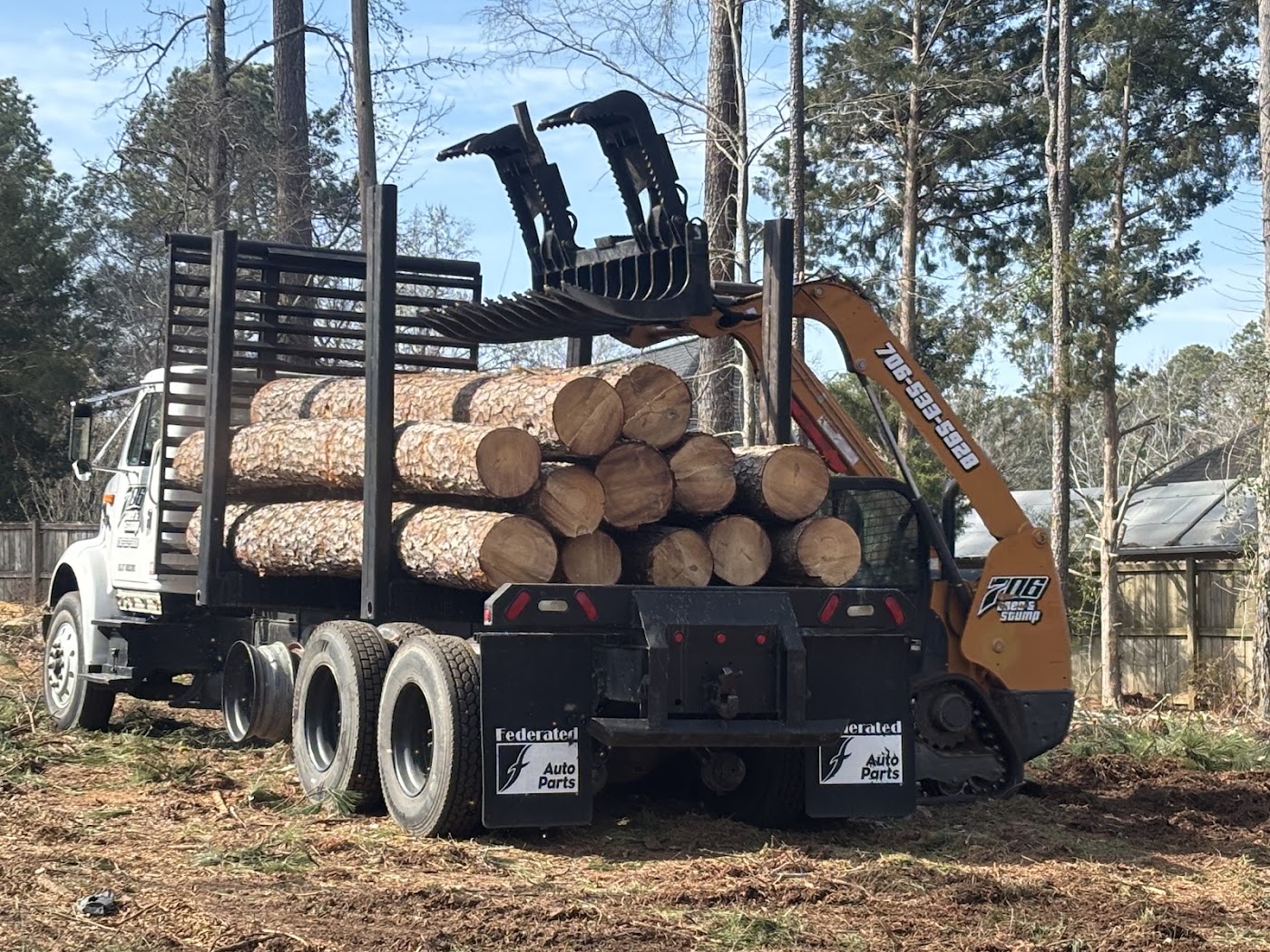 tree surgery work by 706 Tree and Stump in 