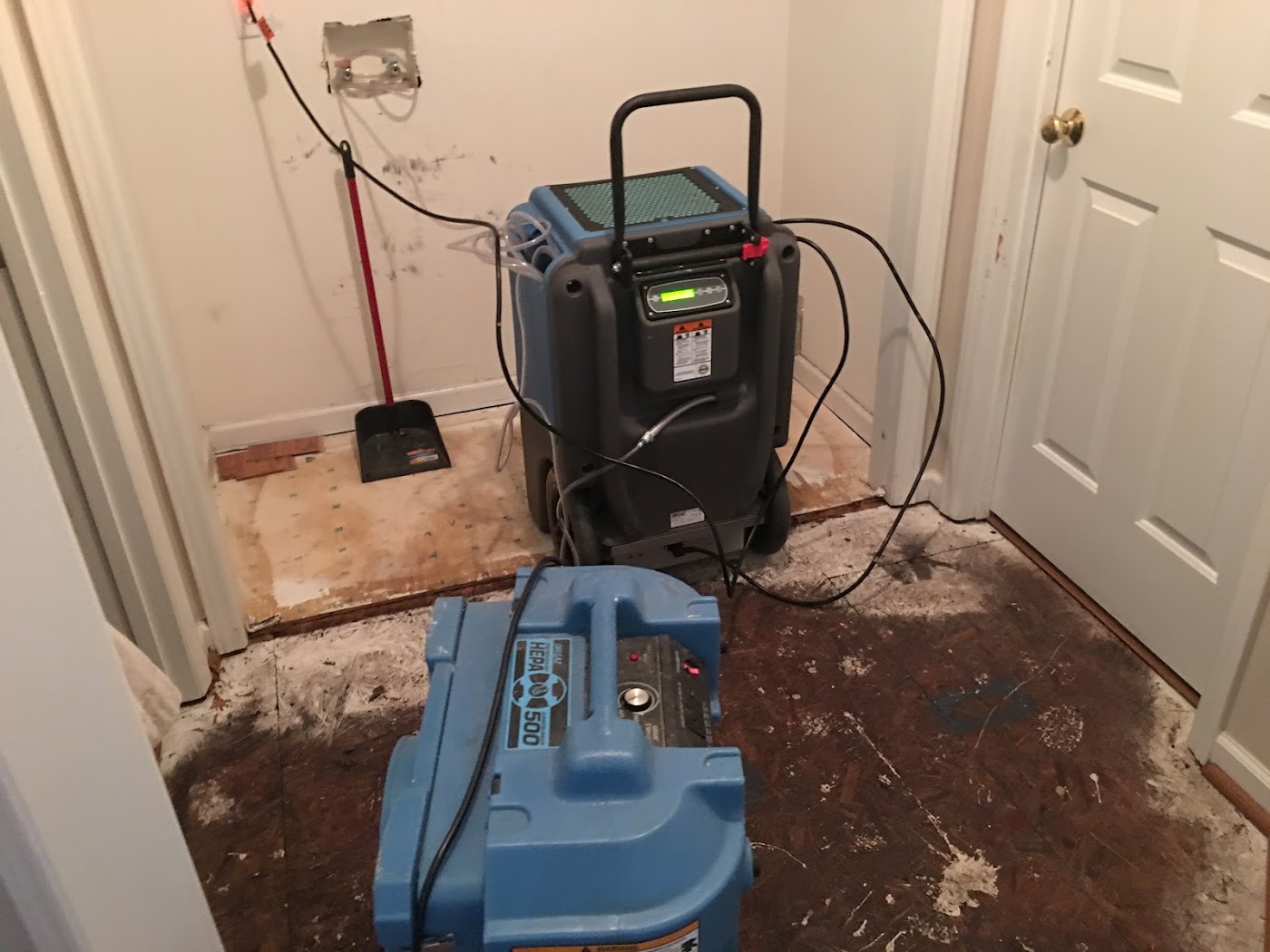 damp proofing work by American Disaster Restoration in Raleigh