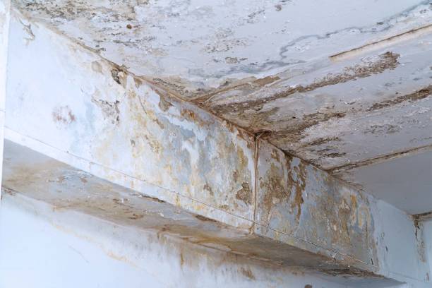 damp proofing work by Blue Water damage Xperts Marietta GA in Marietta