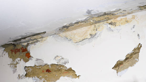 damp proofing work by Blue Water damage Xperts Marietta GA in Marietta