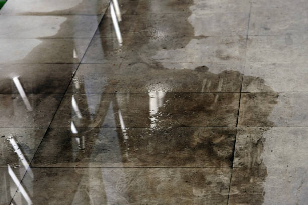 damp proofing work by Blue Water damage Xperts Marietta GA in Marietta