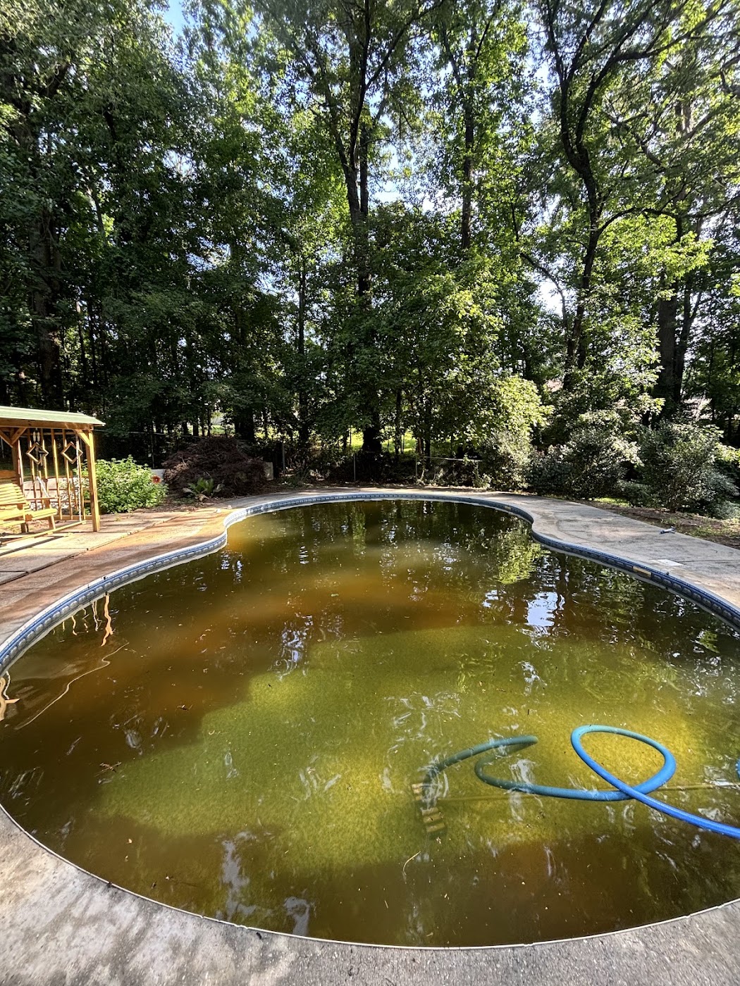 pool service work by Shark Bite Blue in Northern Virginia