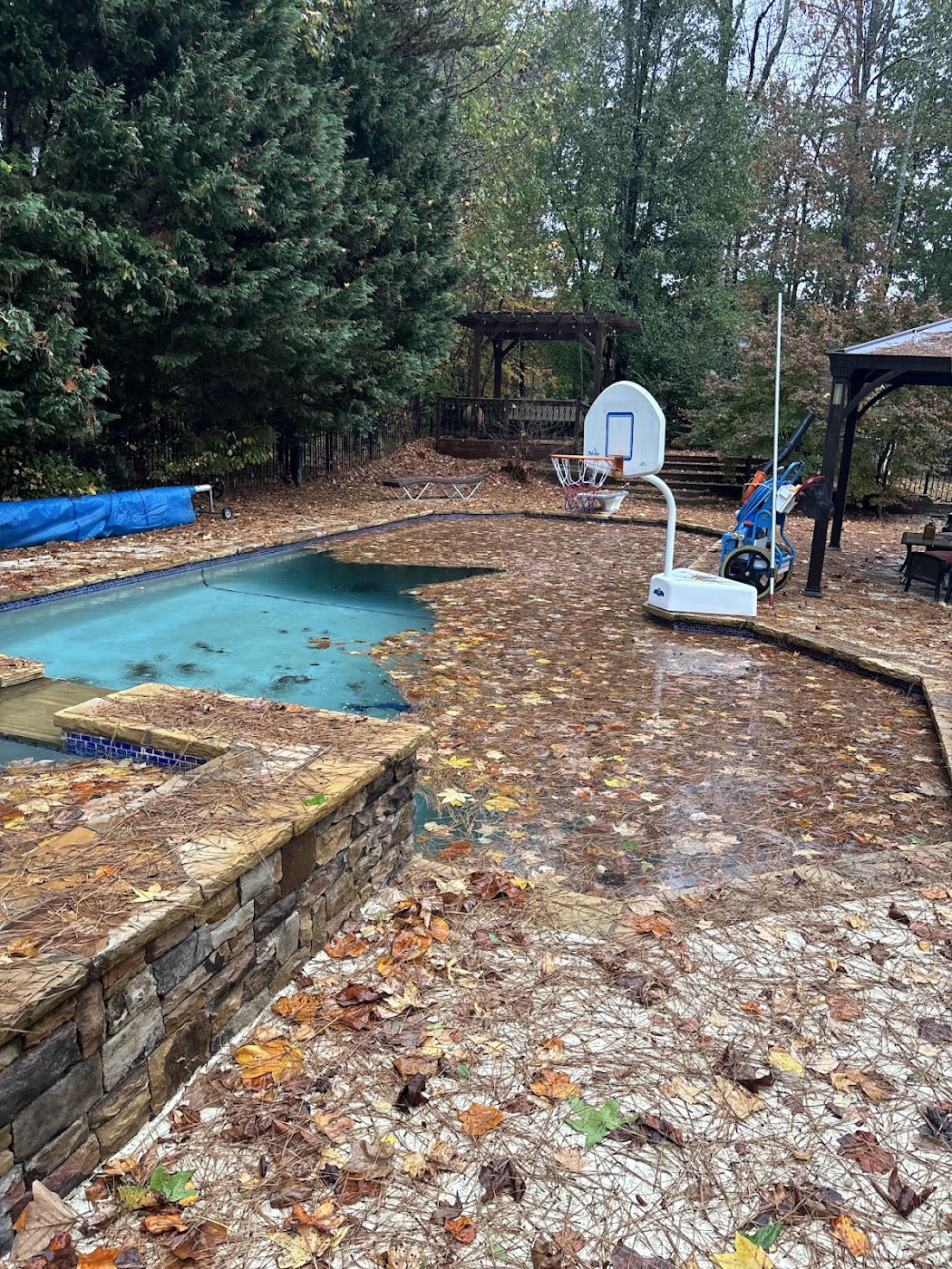 pool service work by Shark Bite Blue in Northern Virginia