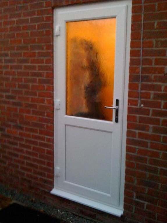 Shelfbank windows work in Oswestry
